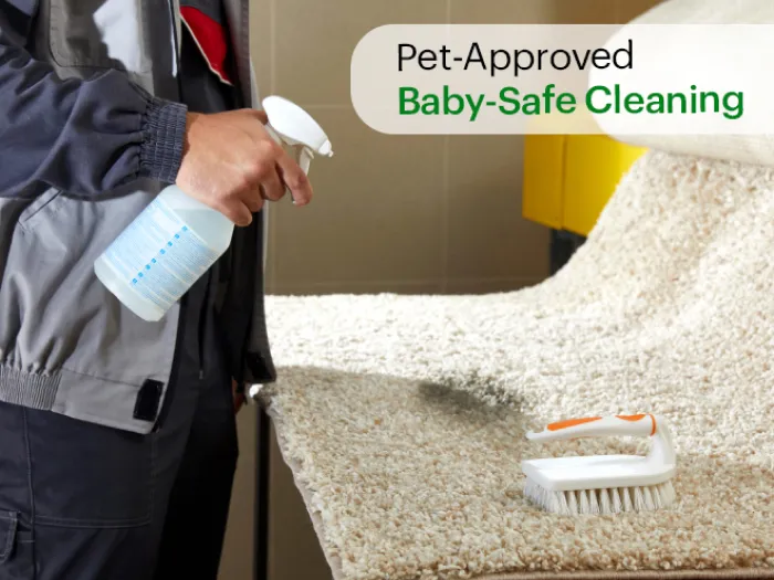 Carpet Cleaning 2
