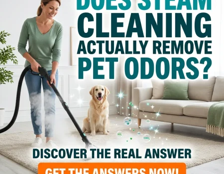 Steam cleaning to remove pet odors